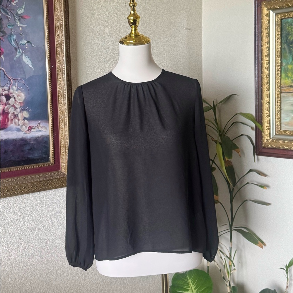 Sheer Long Sleeve Top